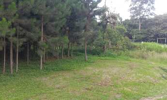 Imagem: Terreno para Chácara na estrada do Verava