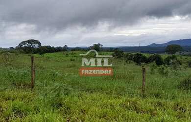Imagem 3: Fazenda Em Paraúna/GO - 27 alqueires ( 130 hectares