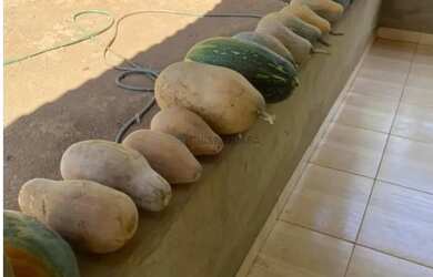 Imagem 6: Sítio de 29 Hectares na região do rio manso há 110 km da cidade Cuiabá sendo 8 k