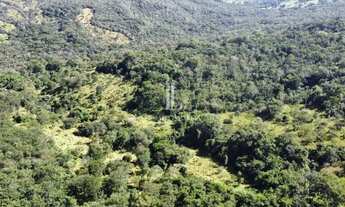 Imagem 3: Fazenda à Venda com 20 alqueires - Hidrolândia