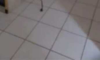 Imagem 6: Alugo 600 reais c água e luz incluso