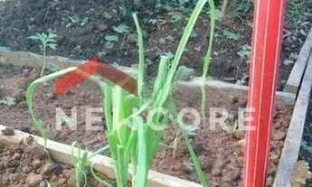 Imagem 7: Casa em Rua Samuel Libório de Ávila - Jardim Adriana - Guarulhos/SP