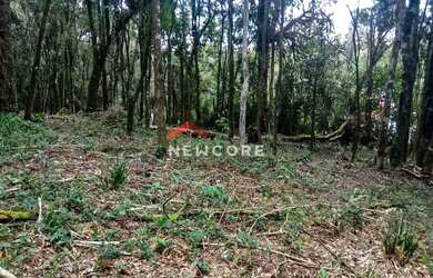 Imagem 3: Lote em Nova Capivari - Nova Capivari - Campos do Jordão/SP