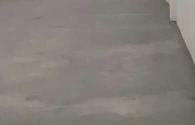 Imagem 5: GALPÃO - SÃO JUDAS - SP