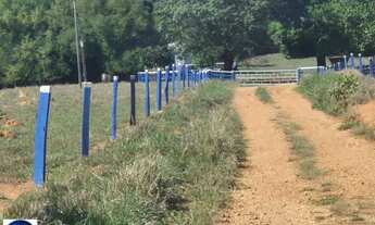 Imagem 2: Fazenda à Venda em Bom Jardim de Goiás 75 Alqueires