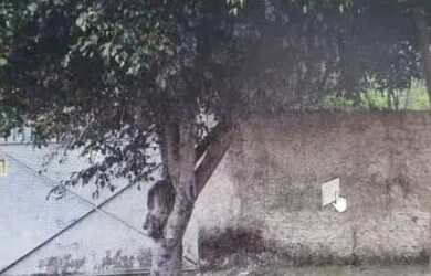 Imagem 3: AREA - PROSPERIDADE - SP