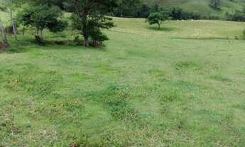 Imagem 3: Chacara de 12.500M2 em Consolação no Sul de Minas