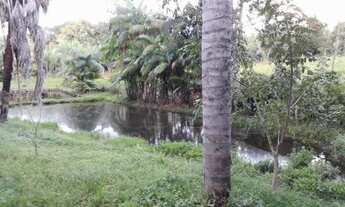 Imagem 2: Chácara Chácara com venda por R$550.000