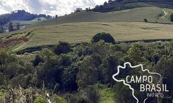 Imagem 4: Fazenda no Sul de Minas com 600mil pés de café e estrutura para leite!