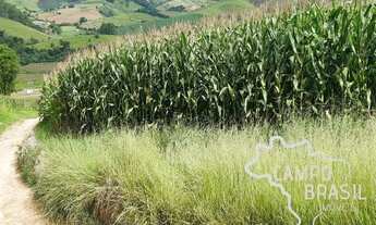 Imagem 5: Fazenda no Sul de Minas com 600mil pés de café e estrutura para leite!