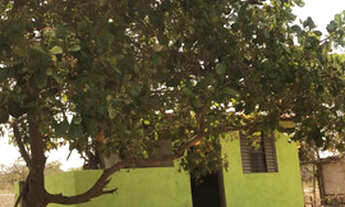 Imagem: Vendo lote 1.100 metros com Quartinho 59km