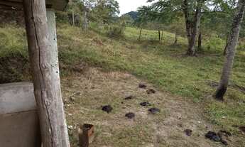 Imagem 2: Sitio em silva jardim entre embau e gavioes