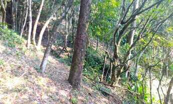 Imagem 6: Terreno à venda, 11023 m² por R$ 10.000.000,00 - Cacupé - Florianópolis/SC