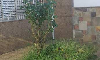 Imagem 3: Casa totalmente terrea 250 mts terreno e 170 area construida -3 dormitórios e garagem 4 au