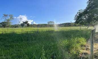 Imagem 2: Fazenda de luxo 36ha toda formada, lagoa de peixes, córrego, poço artesiano, Jaboticatubas