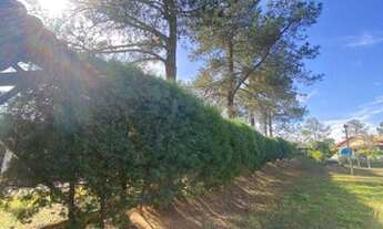 Imagem 6: Chácara de 5.365m² com casa de caseiro