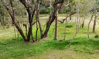 Imagem 5: Fazenda/Sítio/Chácara para venda tem 18000 metros quadrados