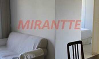 Imagem 3: Lindo apartamento em Vila Romero