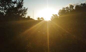 Imagem 6: Fazenda com 80.000m² a 4km do Centro de Valença-BA Margem da BA 542