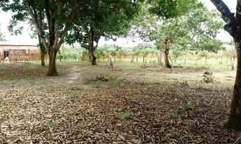 Imagem 4: Oportunidade de Sitio no Laranjal!