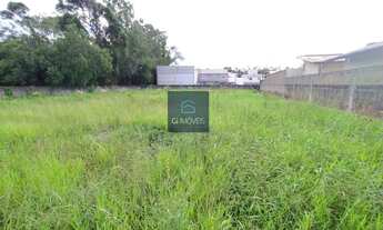 Imagem 5: Terreno para Venda em Palhoça, Aririú