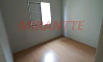 Imagem 3: Lindo apartamento em Parque Sao Domingos