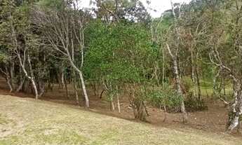 Imagem 7: Fazenda/Sítio/Chácara para venda tem 18000 metros quadrados