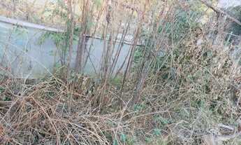 Imagem 4: Chácara com 1 dormitório à venda, 22000 m² por R$ 290.000,00 - Zona Rural - Agudos do Sul