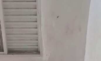 Imagem 2: Conjunto Andirá