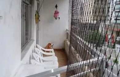 Imagem 5: RIO DE JANEIRO - Apartamento Padrão - Icaraí