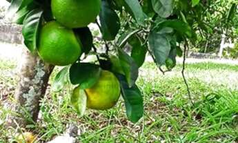 Imagem 5: Casa à venda no bairro Ubatiba - Maricá/RJ