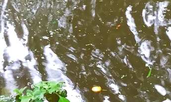 Imagem 3: Rancho campestre com lago proprio 197 mil reais