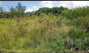 Imagem 4: Vendo Terreno Em Santa Cruz