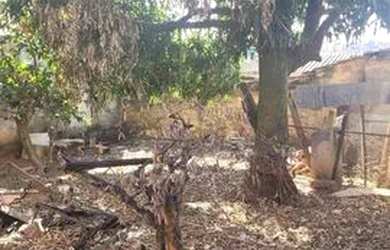 Imagem 6: Casa para Venda em Belo Horizonte, Pompéia, 2 dormitórios, 1 banheiro, 3 vagas