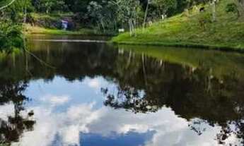 Imagem 7: Terreno Rural com Vista Privilegiada em Igaratá