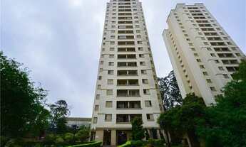 Imagem: São Paulo - Apartamento Padrão - Campo