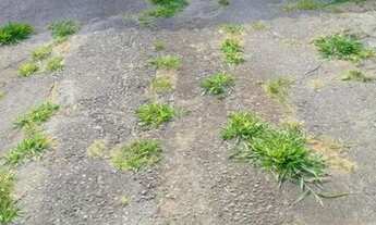 Imagem 5: TERRENO JARDIM D'ABRIL