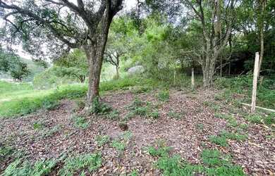 Imagem 2: FLORIANóPOLIS - Terreno Padrão - Santo Antônio de Lisboa