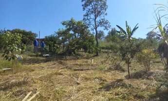 Imagem 5: Sitio 2500 m², plano, agua, área de jogos, poço de peixes, arvores frutíferas