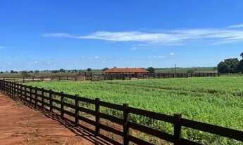 Imagem 4: Fazenda 178 alqueires região de inaciolândia-GO