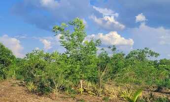 Imagem 4: Vendo ou troco Chácara