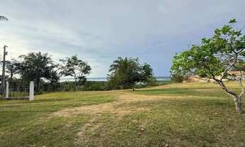 Imagem 2: SÍTIO À VENDA IRANDUBA / AM, AM-070, Km 28, Acesso ao Rio Negro