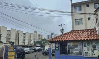 Imagem 2: Apto 2 dormitórios, 1 bwc com box, sala, todo em piso, cozinha e área de serviço conjugada