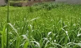 Imagem: Terreno à venda, 300 m² por R$ 380.000,00