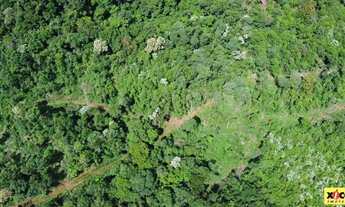 Imagem 3: Sítio / Chácara para Venda em Nova Petrópolis, Stille Eck