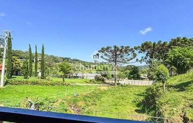 Imagem 16: CHÁCARA EXUBERANTE - CAXIAS DO SUL