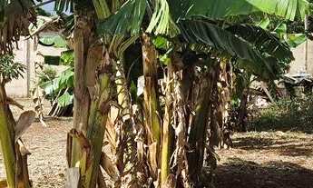 Imagem: Vendo lote. Faço trocas