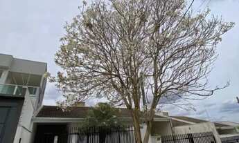 Imagem 2: Casa para Locação  Jardim Shangrilá II