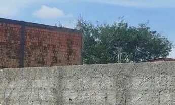 Imagem 4: Terreno em Avenida Cristã na Colônia Terra Nova, próximo ao Residencial Manaura 3