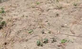 Imagem 2: Terreno no Recanto do Sol São Pedro da Aldeia